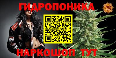 гашишное масло Пушкино